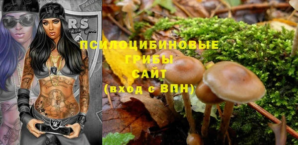 тгк Армянск