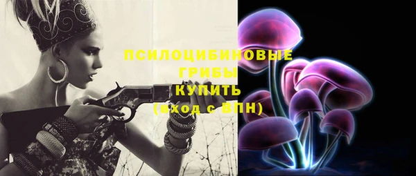 амф Аркадак