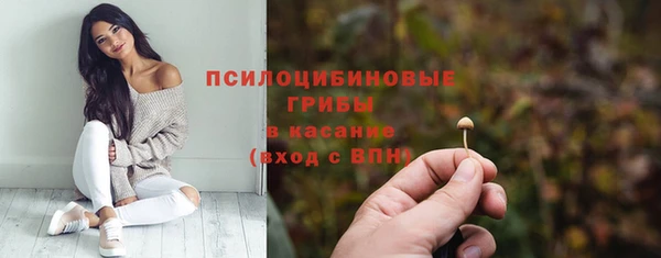 тгк Армянск