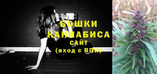 амф Аркадак
