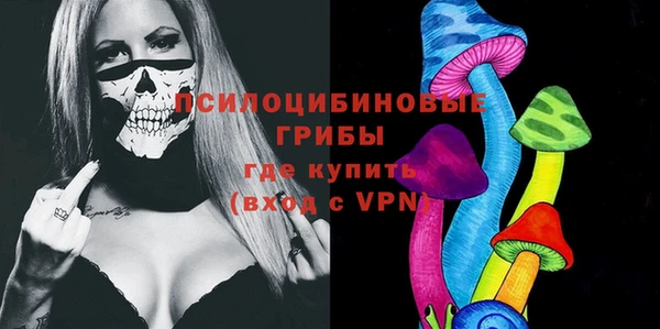 соль ск Арсеньев